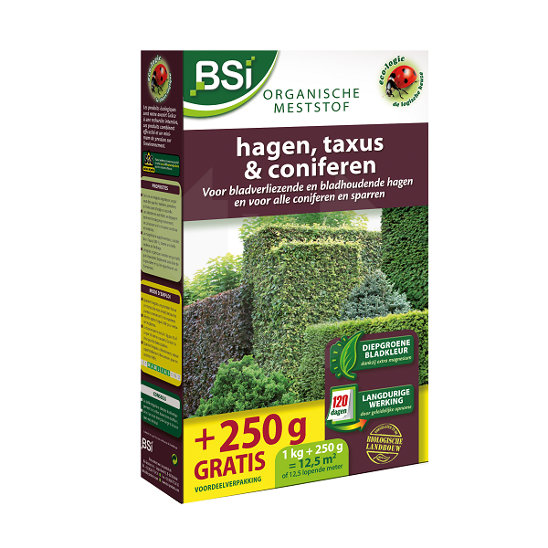 Kunstplant Ficus Groen 1.50m | Easyplants