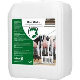Maxi Mint+ 2.5 liter