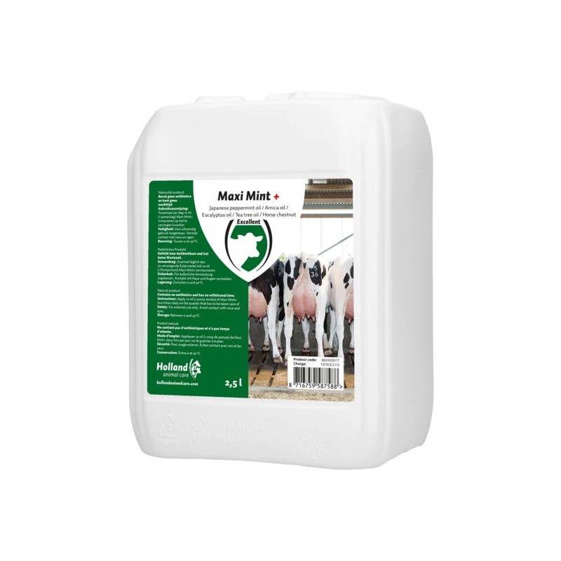 Maxi Mint+ 2.5 liter