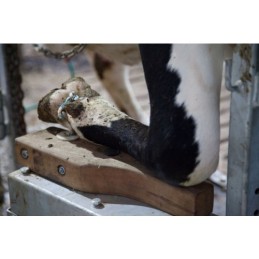 DHC Elektrische klauwbekapbox