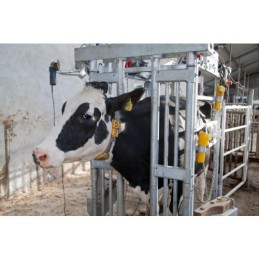 DHC Elektrische klauwbekapbox