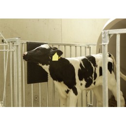 Borstelmat voor Paard, Kalf en Geit 40 x 30 cm