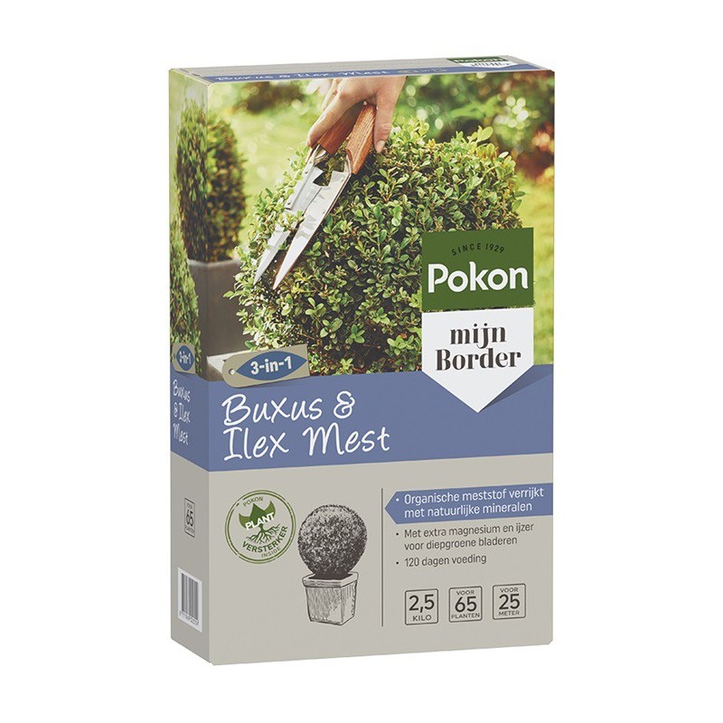Pokon Buxus & Ilex Mest 2,5 kg