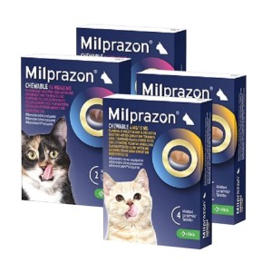 Milprazon worm kauwtabletten kittens en kleine katten 2 tabletten