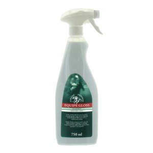Equipe Glansspray 750ml