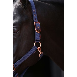 Halster Classy marine veulen/shetland