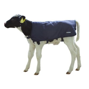 Kalverdek Easywear blauw 70cm