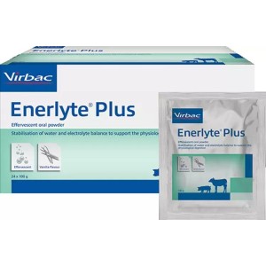 Enerlyte plus 24x100gr