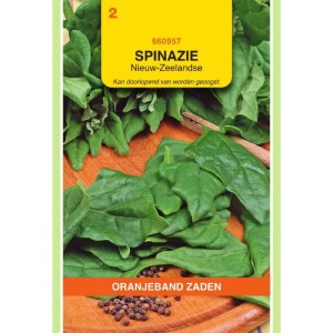 Spinazie Nieuw-Zeelandse