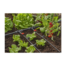 Seriedruppelaar 2L (10st)