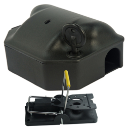 Voerdoos muis met muizenklem