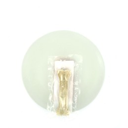 Bot 5,5 Inch (14cm) 1st