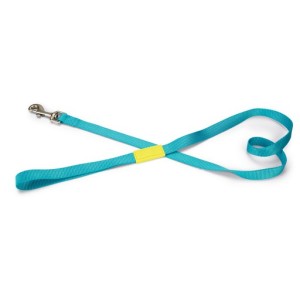 Beeztees hondenriem nylon lichtblauw 120 cm x 20mm