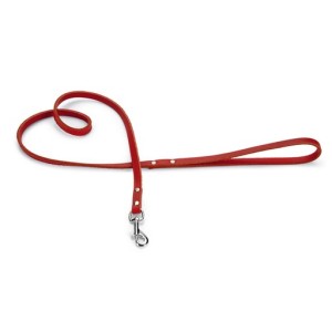 Beeztees hondenriem geniet rood 100cm x 10mm
