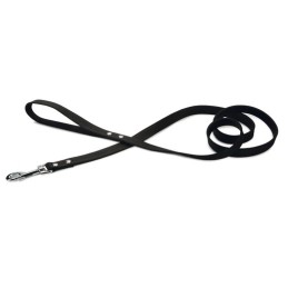 Beeztees hondenriem geniet...