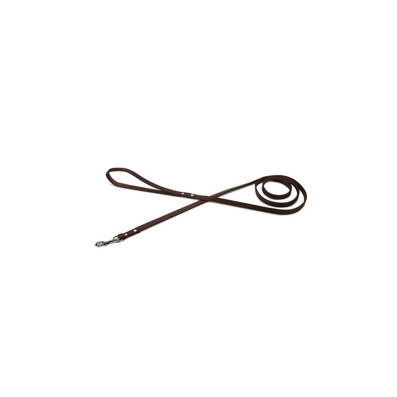 Beeztees hondenriem geniet bruin 165cm x 12mm