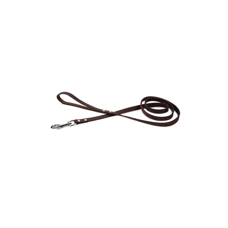 Beeztees hondenriem geniet bruin 165cm x 16mm