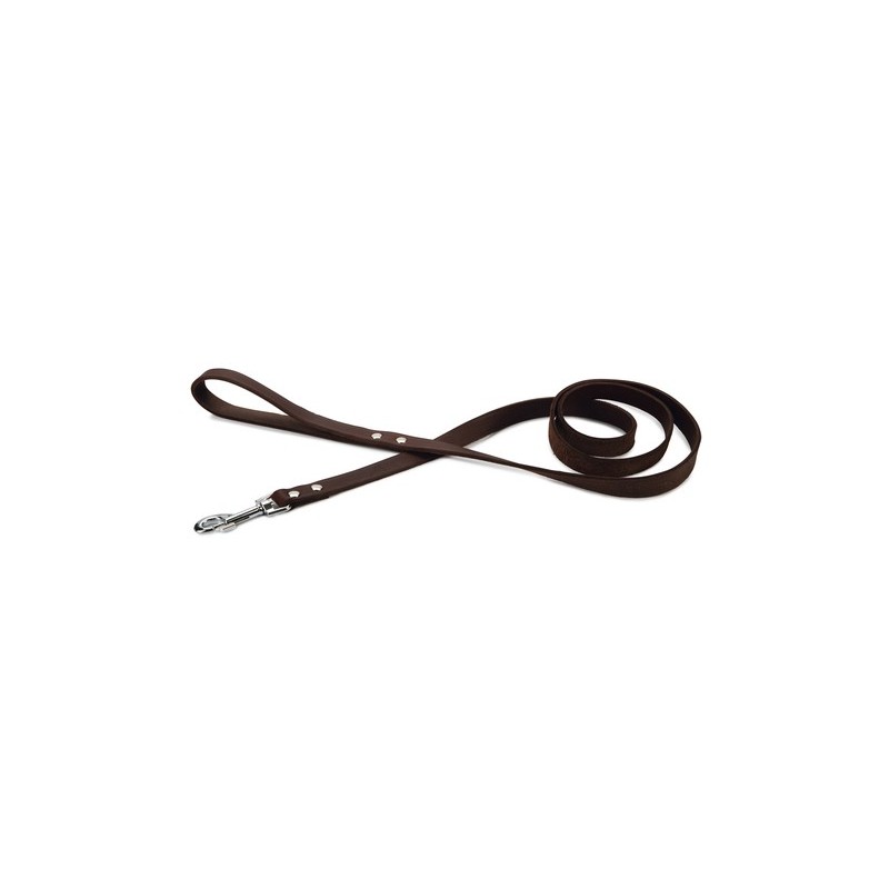 Beeztees hondenriem geniet bruin 165cm x 20mm