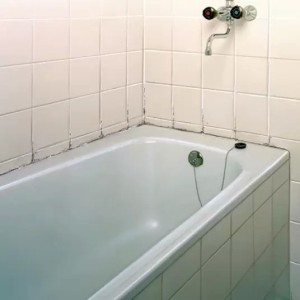 HG schimmel, vocht en weerplekkenreiniger 500ml