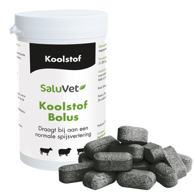 Koolstofbolus 24 x 12 gram