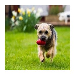 Hondenspeeltje vulbaar Kong classic M