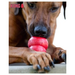 Hondenspeeltje vulbaar Kong classic L