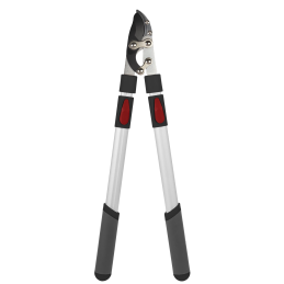 Aambeeld Takkenschaar...