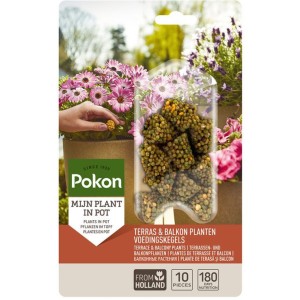 Terras en Balkonplanten Voedingskegels 10 stuks