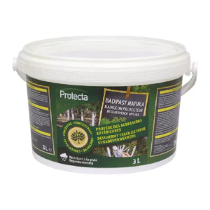 Badipast Natura (lange werking) 3L