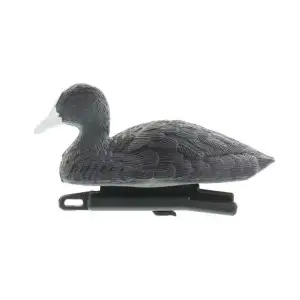 Imitatie meerkoet