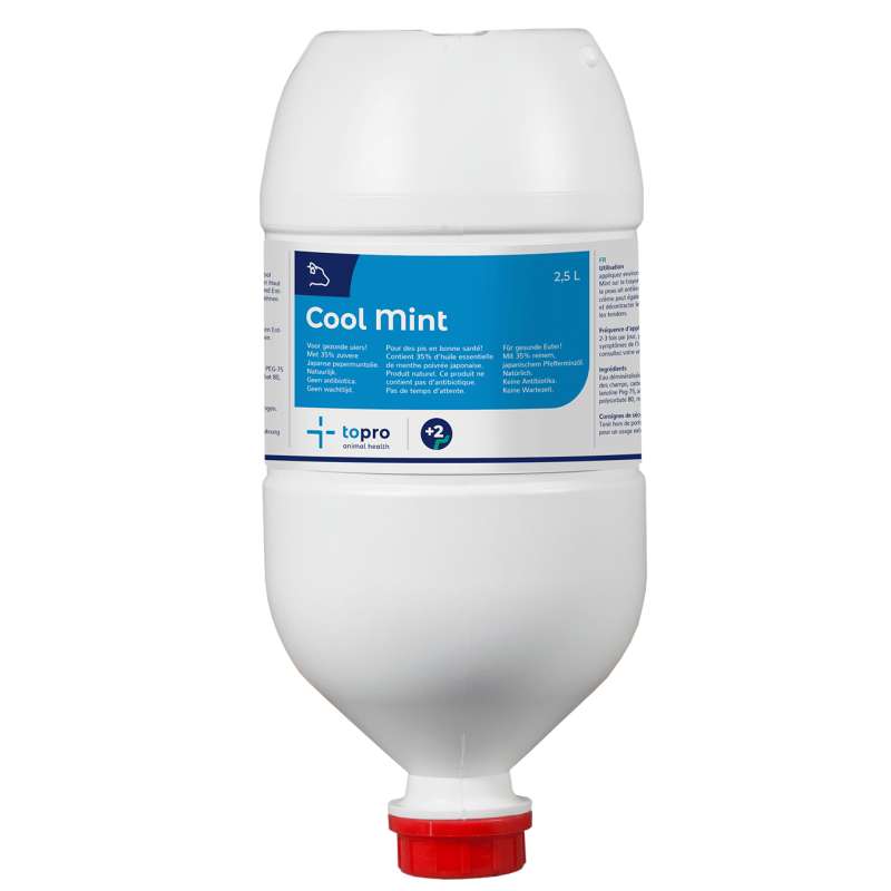 Cool Mint Green 2,5 L