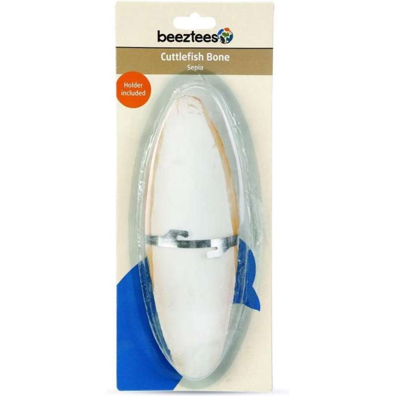 Sepia groot wit 20 cm