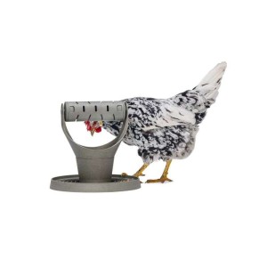 Beeztees kippen speel- en Snacktoren grijs 30 cm