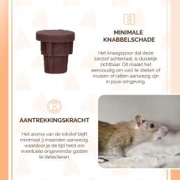 Knock Pest Attractant chocolade voor het monitoren van muizen of ratten