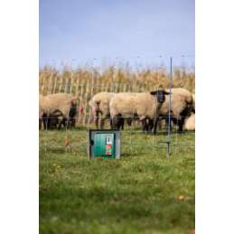 AKO Duo Power Xi8000 smart schrikdraadapparaat  230V/12V