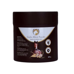 Excellent Horse Garlic Allicin Powder 800 gram