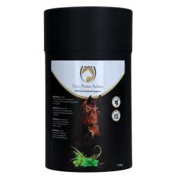 Excellent Horse Parex 1.5 kg