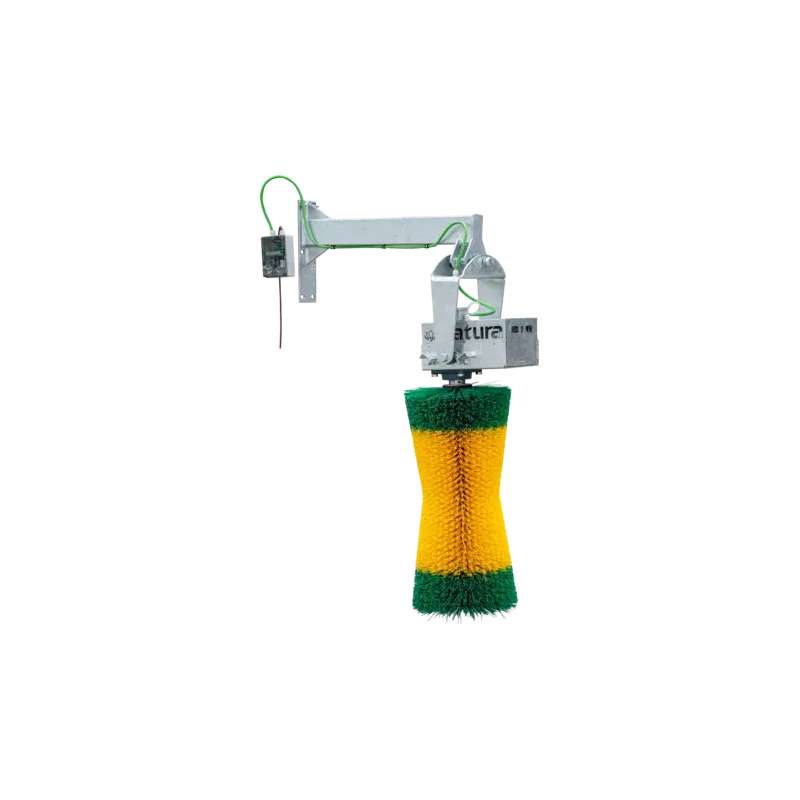 Elektrische Pendelborstel Maxi