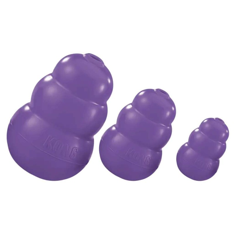 KONG Senior M