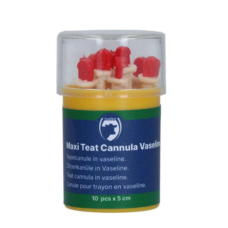 Maxi Teat Cannula in vaseline