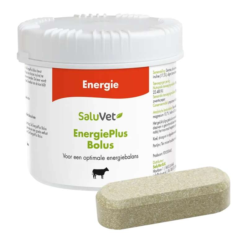 EnergiePlus Bolus