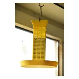 Advion Flybait station indoor