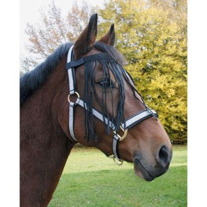 Vliegenfrontriem nylon Paard Cob