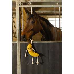 Excellent Horse Foodie Friends Banaan