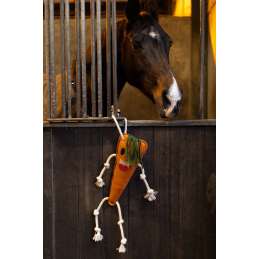 Excellent Horse Foodie Friends Wortel