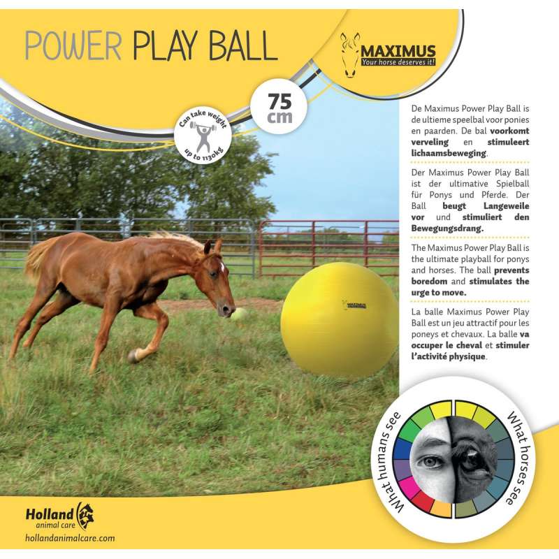 Maximus Power Play Ball voor paarden 65 cm