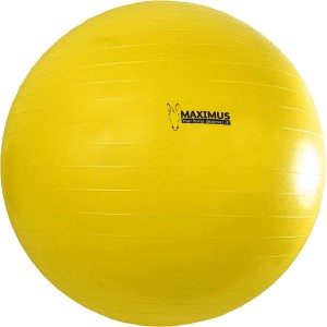 Maximus Power Play Ball voor paarden 65 cm