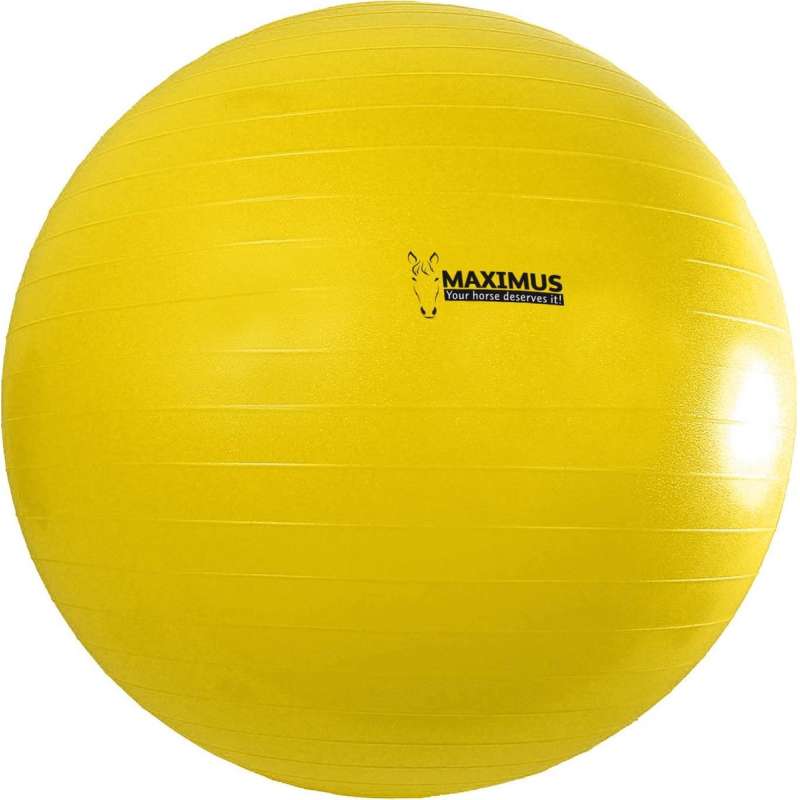 Maximus Power Play Ball voor paarden 100 cm