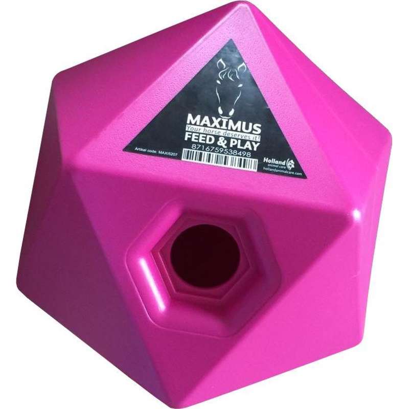 Maximus paardenvoer en traktatie kubus roze