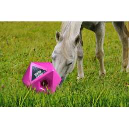 Maximus paardenvoer en traktatie kubus roze